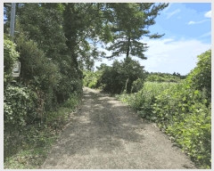  2024Ÿ32633    ︮ 124-1      (1)