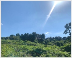  2024Ÿ32718  ֽ ֿ  182      (Ӿ)