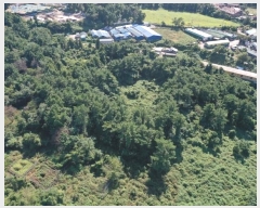  2024Ÿ32718  ֽ ֿ  182      (Ӿ)