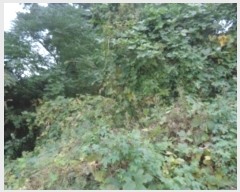  2024Ÿ32718  ֽ ֿ  182      (Ӿ)