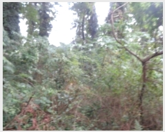  2024Ÿ32718  ֽ ֿ  182      (Ӿ)