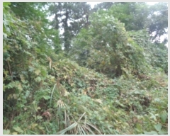  2024Ÿ32718  ֽ ֿ  182      (Ӿ)