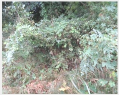  2024Ÿ32718  ֽ ֿ  182      (Ӿ)