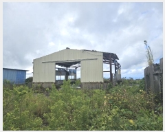  2024Ÿ33476  ֽ Ѹ ݾǸ 196-17      (󰡽ü)