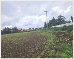  2024Ÿ33476  ֽ Ѹ ݾǸ 196-17      (󰡽ü)