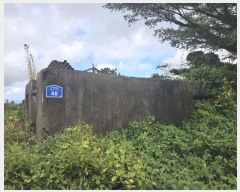  2024Ÿ33476  ֽ Ѹ ݾǸ 196-17      (󰡽ü)