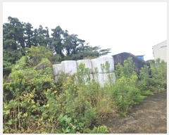  2024Ÿ33476  ֽ Ѹ ݾǸ 196-17      (󰡽ü)