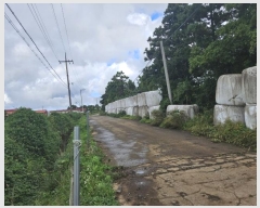  2024Ÿ33476  ֽ Ѹ ݾǸ 196-17      (󰡽ü)