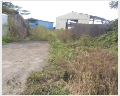  2024Ÿ33476  ֽ Ѹ ݾǸ 196-17      (󰡽ü)