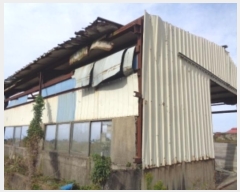  2024Ÿ33476  ֽ Ѹ ݾǸ 196-17      (󰡽ü)