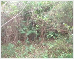  2024Ÿ33643  ֽ ƶ̵ 67       (Ӿ)