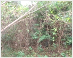  2024Ÿ33643  ֽ ƶ̵ 67       (Ӿ)