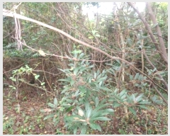  2024Ÿ33643  ֽ ƶ̵ 67       (Ӿ)