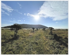  2024Ÿ��33735  �Ӿ߰��