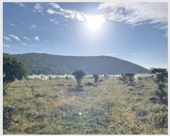  2024Ÿ��33735  �Ӿ߰��