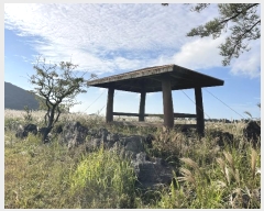  2024Ÿ��33735  �Ӿ߰��