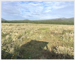  2024Ÿ��33735  �Ӿ߰��