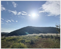  2024Ÿ��33735  �Ӿ߰��