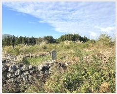  2024Ÿ��33735  �Ӿ߰��