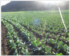  2024Ÿ33902   ȴ 踮 3140      (1)