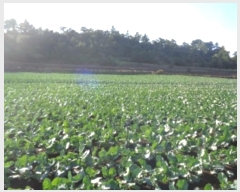  2024Ÿ33902   ȴ 踮 3140      (1)