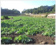  2024Ÿ33902   ȴ 踮 3140      (1)