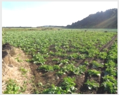  2024Ÿ33902   ȴ 踮 3140      (1)