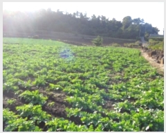  2024Ÿ33902   ȴ 踮 3140      (1)