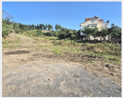  2024Ÿ35014  ֽ  1347-7       ()