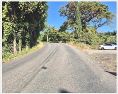  2024Ÿ35014  ֽ  1347-7       ()