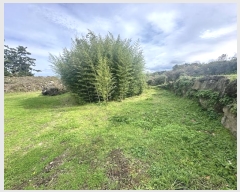  2024Ÿ35106  ֽ ֿ  893-9      (Ӿ)