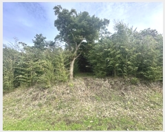  2024Ÿ35106  ֽ ֿ  893-9      (Ӿ)