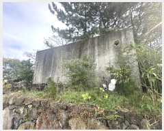  2024Ÿ35106  ֽ ֿ  893-9      (Ӿ)