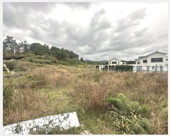  2024Ÿ35373    Ϸʸ 1228-1      ()