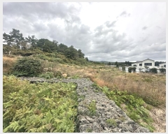  2024Ÿ35373    Ϸʸ 1228-1      ()