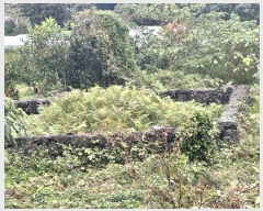  2024Ÿ35373    Ϸʸ 1228-1      ()