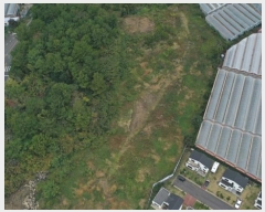  2024Ÿ35373    Ϸʸ 1228-1      ()