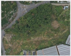  2024Ÿ35373    Ϸʸ 1228-1      ()