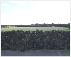  2024Ÿ��35557 ���� ���ֽ� ������ ����� 1373      ����(��1)���