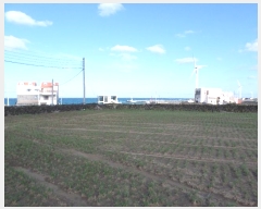  2024Ÿ��35557 ���� ���ֽ� ������ ����� 1373      ����(��1)���