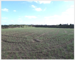  2024Ÿ��35557 ���� ���ֽ� ������ ����� 1373      ����(��1)���