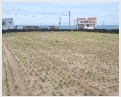  2024Ÿ��35557 ���� ���ֽ� ������ ����� 1373      ����(��1)���