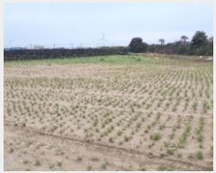  2024Ÿ��35557 ���� ���ֽ� ������ ����� 1373      ����(��1)���