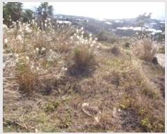  2024Ÿ��35724 ���� �������� �󿹵� 3416       ����(��1)���