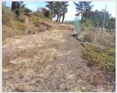  2024Ÿ��35724 ���� �������� �󿹵� 3416       ����(��1)���