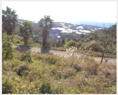  2024Ÿ��35724 ���� �������� �󿹵� 3416       ����(��1)���