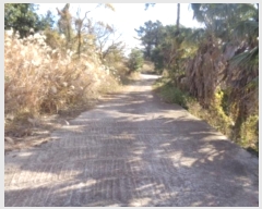  2024Ÿ��35724 ���� �������� �󿹵� 3416       ����(��1)���