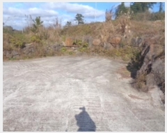  2024Ÿ��35724 ���� �������� �󿹵� 3416       ����(��1)���