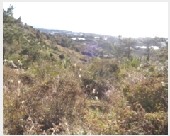  2024Ÿ��35724 ���� �������� �󿹵� 3416       ����(��1)���