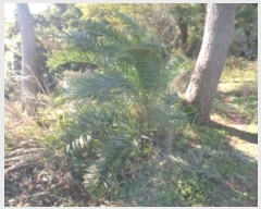  2024Ÿ��35724 ���� �������� �󿹵� 3416       ����(��1)���